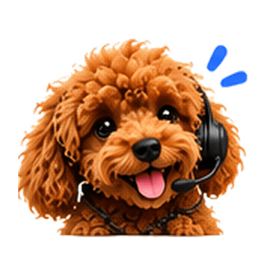 Darma, the caramel-brown poodle support companion