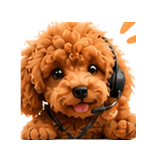 Darma, the caramel-brown poodle support companion